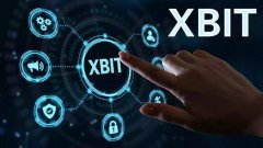 XBIT详解去信任化机制利弊DEX去中心化交易所保障