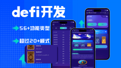 DeFi开发的深度解析与展望