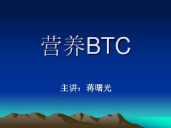 “BTC债券公司”成立欲收购1万亿美元BTC