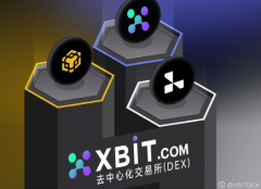 DEX交易所遭史上最大攻击XBIT平台安全架构受关注