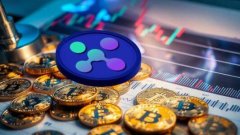 DEX是什么意思XBIT去中心化交易平台合规引擎硬刚