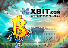 最新BTC实时行情美联储接班人选明朗XBIT引领加密