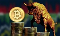 BTC最新价格行情波动起伏!最新XBIT揭示$114756背